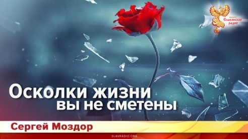 Осколки жизни, вы не сметены