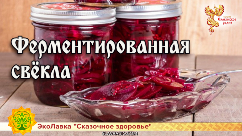 Ферментированная свёкла