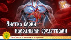 Чистка крови народными средствами