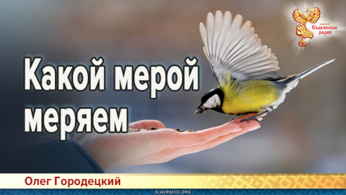 Какой мерой меряем