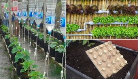 17 полезностей для дачников