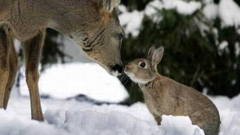 Как тебя зовут?