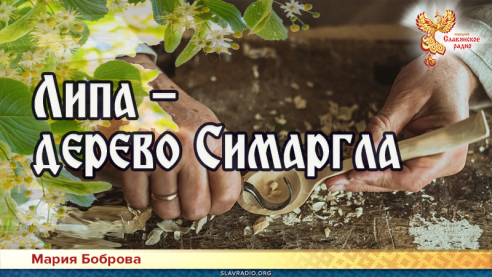 Липа &mdash; дерево Симаргла 