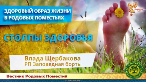 Столпы здоровья