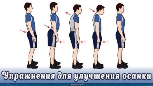 Упражнения для улучшения осанки