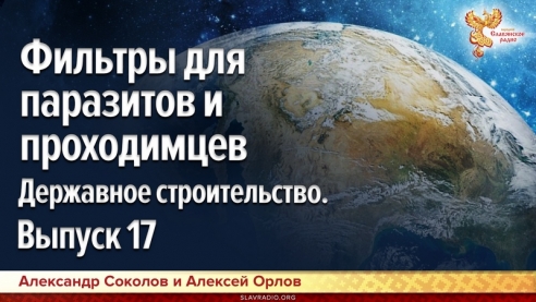 Фильтры для паразитов и проходимцев. Державное строительство. Выпуск 17