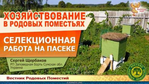 Селекционная работа на пасеке