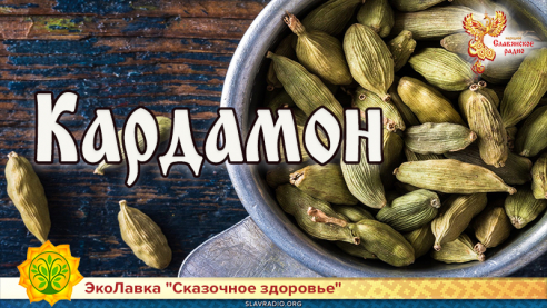 Кардамон 