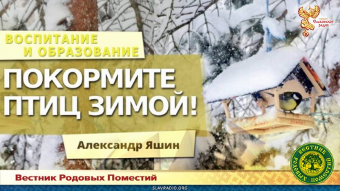 Покормите птиц зимой