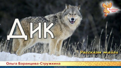 Рассказы тайги. Дик 