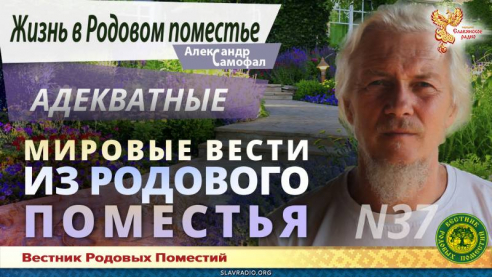 Мировые вести из Родового поместья № 37