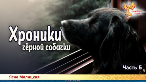 Хроники чёрной собачки. Часть  5