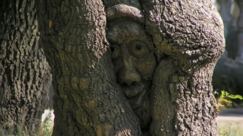 Почему мы стучим по дереву