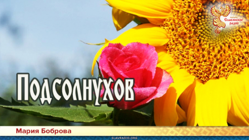 Подсолнухов