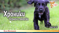 Хроники чёрной собачки. Часть 2 