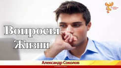 Вопросы Жизни