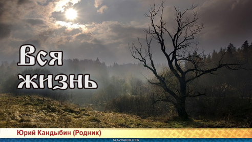 Вся жизнь 