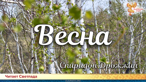 День поэзии. Спиридон Дрожжин - Весна