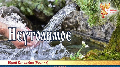 Неутолимое 