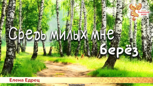 Средь милых мне берёз