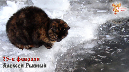 25-е февраля