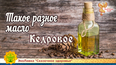Такое разное масло. Кедровое 