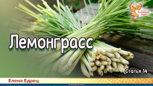 Лемонграсс 